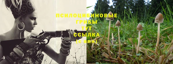 бошки Баксан