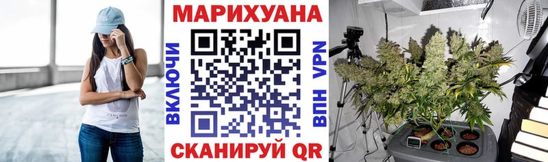Шишки марихуана семена  MEGA зеркало  Котельниково  где можно купить  